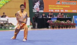 武术视频,视频解析传统武术招式与技巧